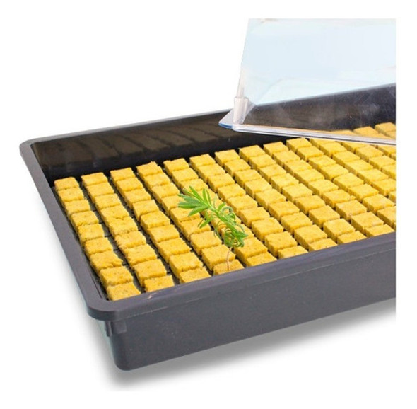 Propagador Germinador Invernadero Pro70 / Plantines, Clones 1 Propagador Germinador Invernadero Pro70 / Plantines, Clones 1