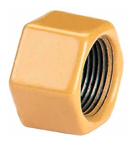 Tapa Hembra Epoxi Para Gas 4 Pulgadas 0