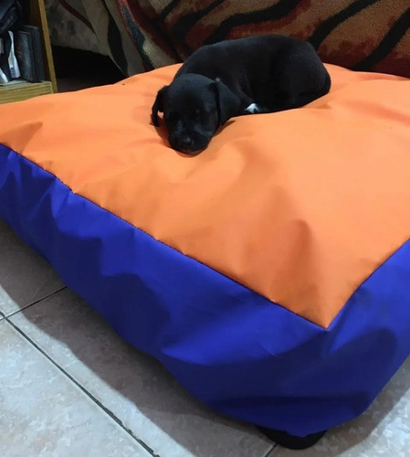 Colchoneta Para Perros1.00x70lavable Impermeable Cierre 1