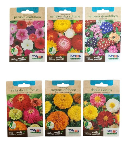 Kit Petunia + Sempre Viva + Verbena + Zinia +tagetes + Dalia 0