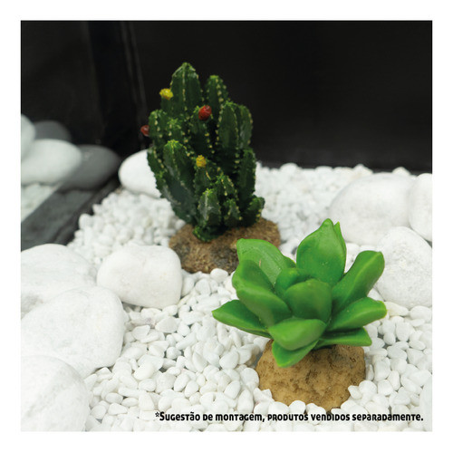 Enfeite De Silicone Soma Planta Cactus 15 1