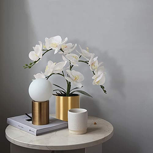 Hogar Y Cocinaproductos De Decoración Para El Hogarplantas 1
