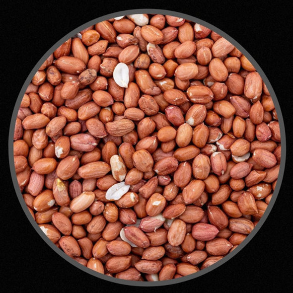 Kit 2 Unidades - Amendoim Sem Casca Para Pássaros - 100g 1