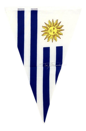 Guía De 20 Banderines Poliéster 20x30 Cm Uruguay Mundial 0