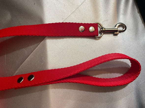 Correa Para Perro N2 0