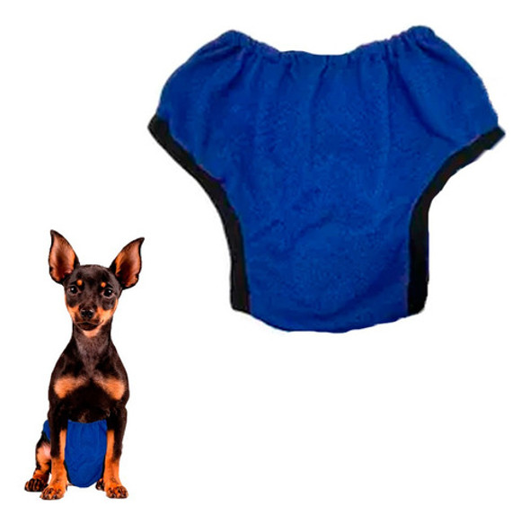 Bombacha Higienica Perro Celo Incontinencia Razas Pequeñas 0 Bombacha Higienica Perro Celo Incontinencia Razas Pequeñas 0