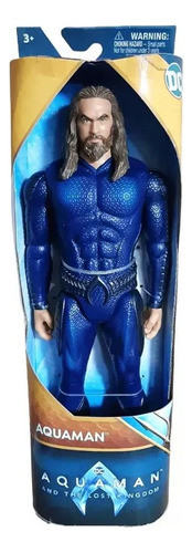 Muñeco Figura Aquaman Articulado Traje Azul Dc 30cm Recoleta 0