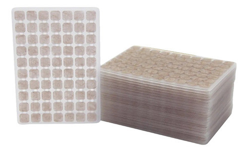 Auriculoterapia - Balines De Cristal - Plantilla De 70 0