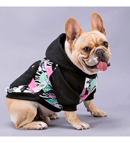 Curso De Ropa Canina Online 1