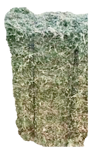 Fardo Alfalfa De Primera Talabarteria El Moro Zona Flores 0