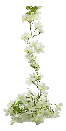 Guía De Flores Silvestres 0