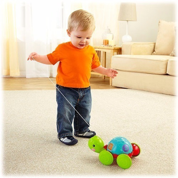 Fisher Price Empurra Tartaruga Pedagógico Y8652 Mattel 1 Fisher Price Empurra Tartaruga Pedagógico Y8652 Mattel 1