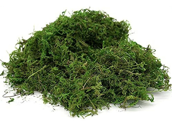 Musgo Falso De Usmola, Musgo Verde Artificial Para Plantas E 0