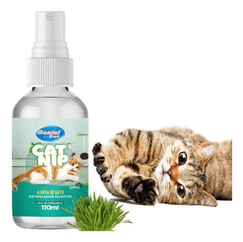 Catnip Para Gatos Erva Natural Cat Nip Em Spray 0