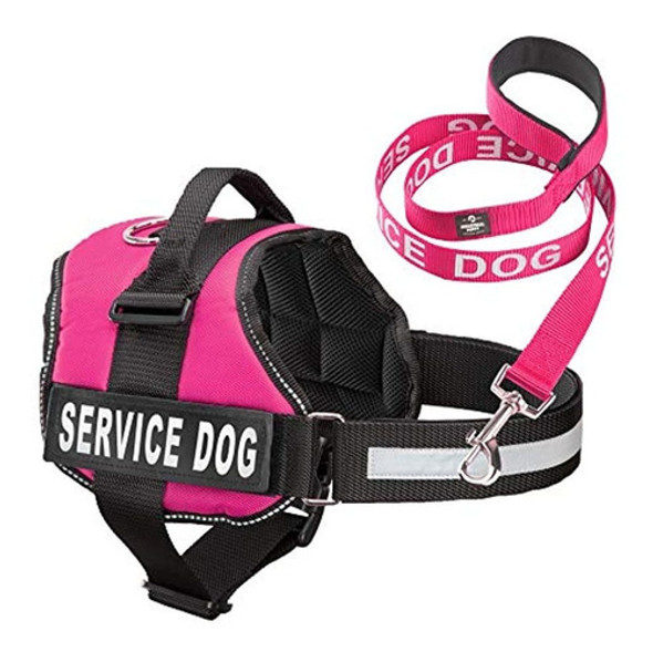 Set De Arnes Del Perro Y La Correa Combinada Disponible En 0