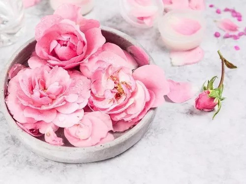 Agua De Rosas 100% Natural - 100 Ml Premium 1