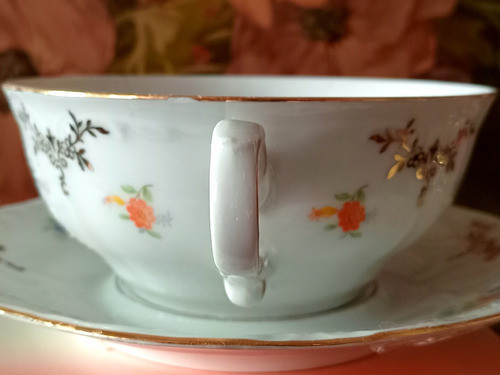 Consomeras Bavaria 1