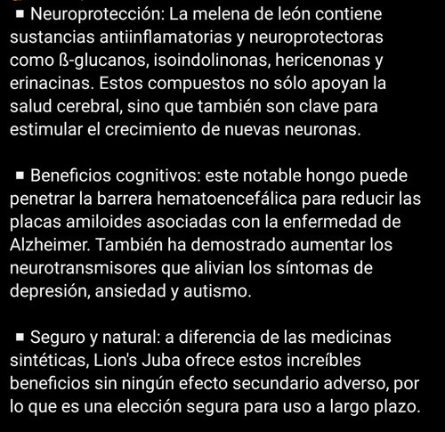 Extracto De Hongo Melena De Leon 1