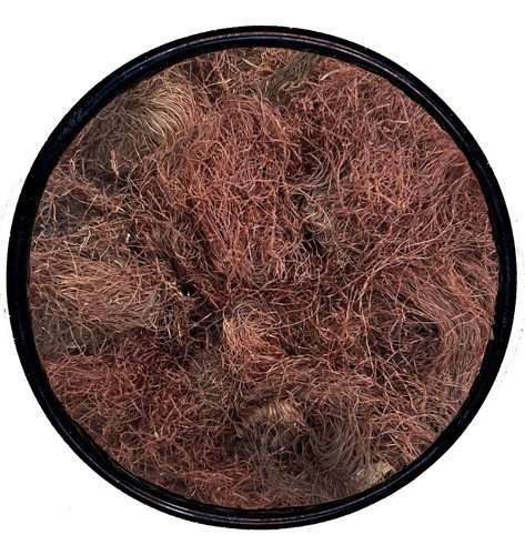 Estigma De Maiz Barba De Choclo Deshidratada 500g | Sir Neko 0