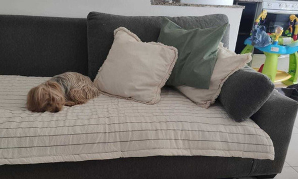 Pillow Reversible Protector Sillón 200 X 100 Tusor Algodon 0