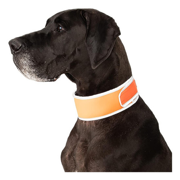 Coolerdog Hi-vis Collar De Enfriamiento Para Perros - Collar 1 Coolerdog Hi-vis Collar De Enfriamiento Para Perros - Collar 1