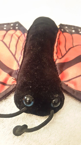 Mariposa Colorida  Para Los Mas Chicos Made In Usa 1