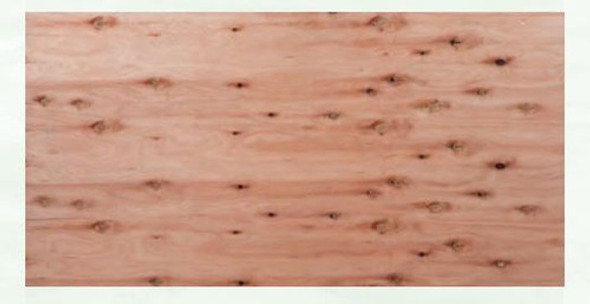 Compensado Fenolico Cdx 15mm - 2.44m X 1.22m - Sin Tego 0