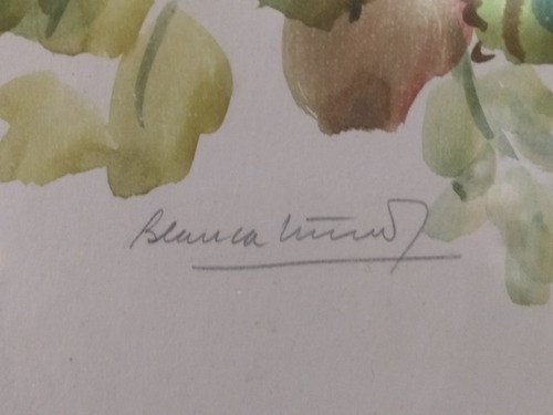 Cuadro Original  Blanca Muñoz Acuarela 1