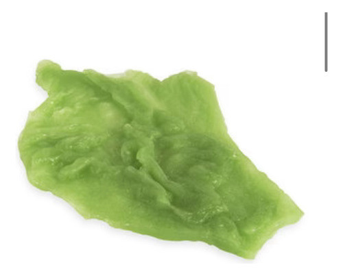 Réplica De Alimentos Nasco: Lechuga, 1 Hoja 0