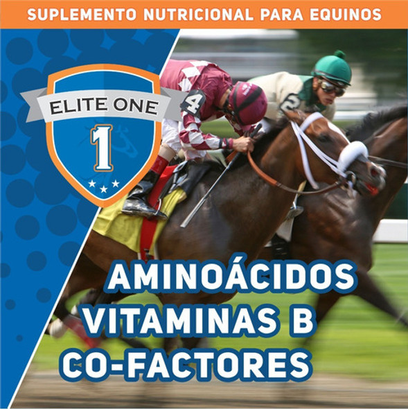 Elite One Suplemento Potenciador Para Caballos X 3und 1