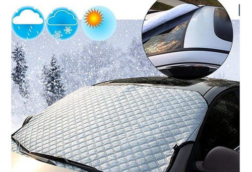 Cortina Vehiculos Delantera Plateada C/iman 0