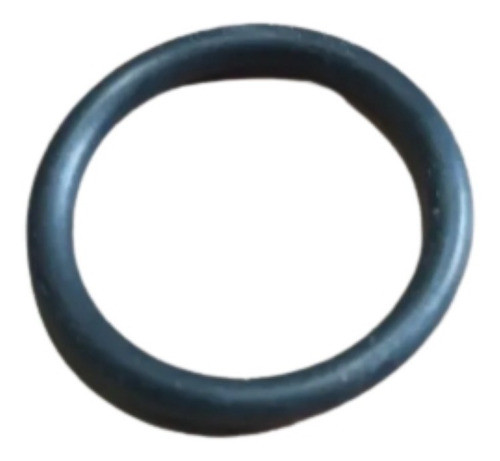 Oring Del Rotor Interno P/ Cabezal Marca Plufilt 0