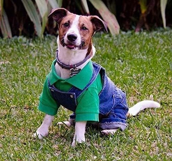 Polos Parisinos Para Perros - 100% Algodon, Ropa De Verano 1