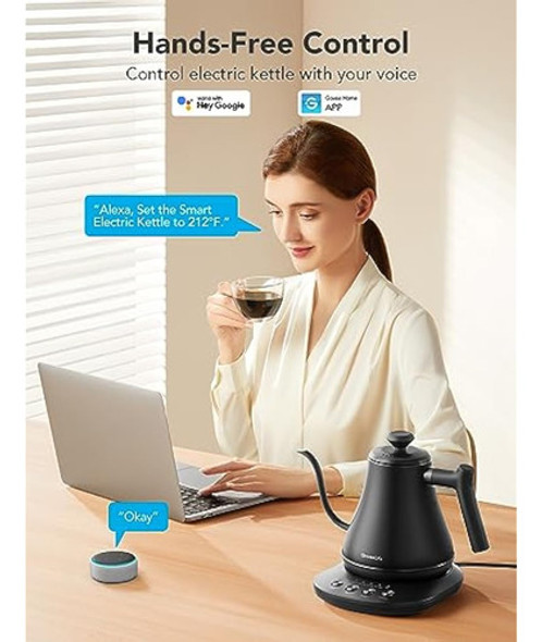 Goveelife Hervidor Eléctrico Inteligente, Hervidor 1