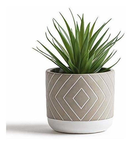 Kurrajong Farmhouse Planta Verde Artificial De 8  X 4.5  En 0