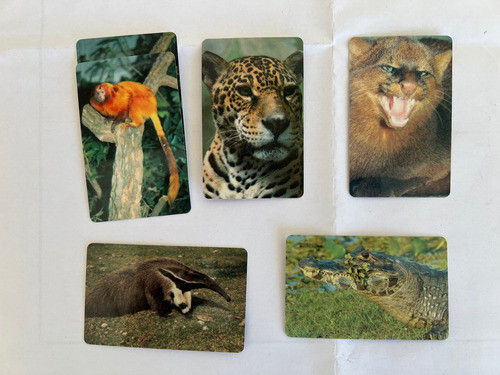 Cards Cepacol Animais Em Risco De Extinção 05 Unidades+01 0