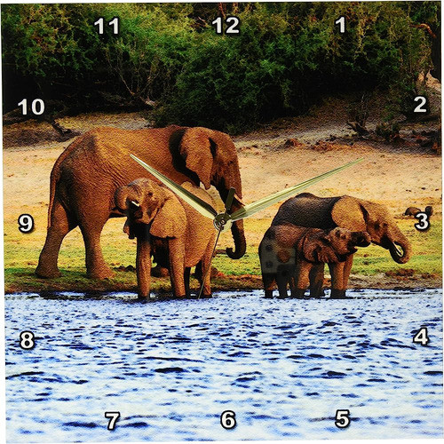 3drosa Dpp_131440_2 Elefante Africano, Parque Nacional Chobe 0