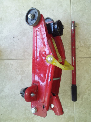 Gato Qrique Auto 1