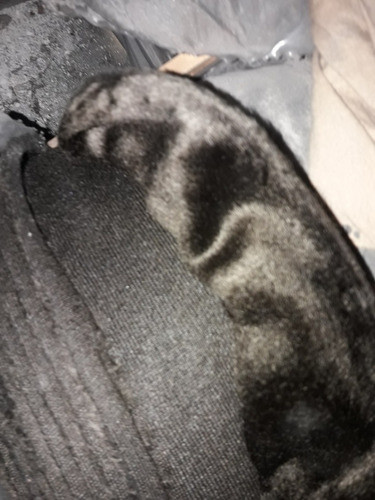 Piel Sintetica Bucle ,tipo Astrakan Y Tipo Pelo De Mono 1