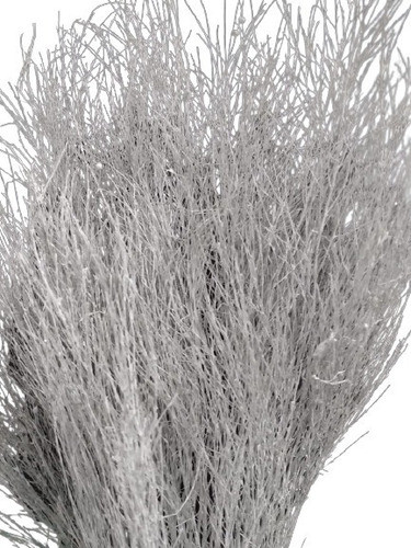 Galho Seco Aspargo Pintado Para Decoração E Arranjos Natural 0