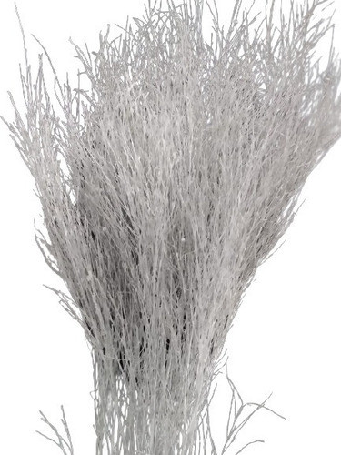 Galho Seco Aspargo Pintado Para Decoração E Arranjos Natural 1