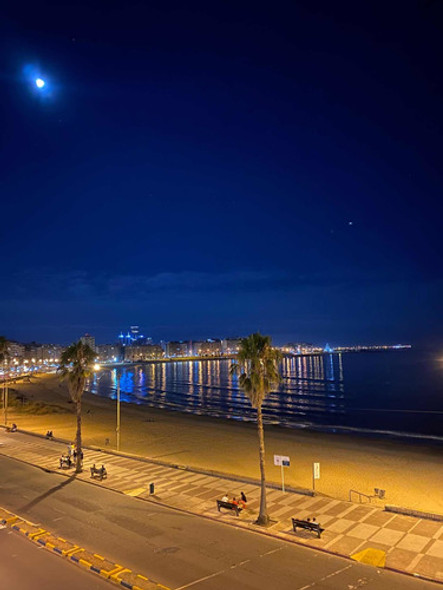 Apartamento Rambla Pocitos Alquiler Temporal O Anual 1