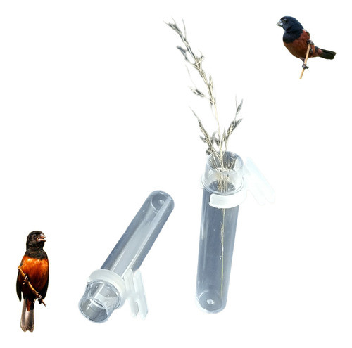 12 Porta Tiririca Fino Sementeira Cristal 14ml Curio Coleiro 1