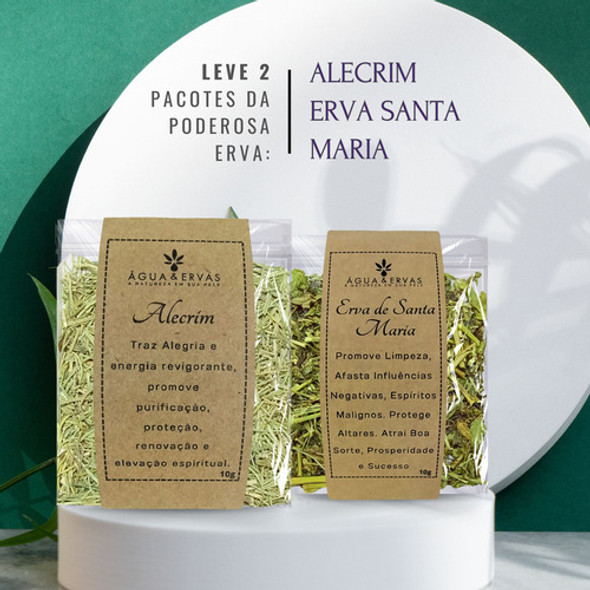 Banho & Defumação De Ervas | Alecrim E Erva Santa Maria 1