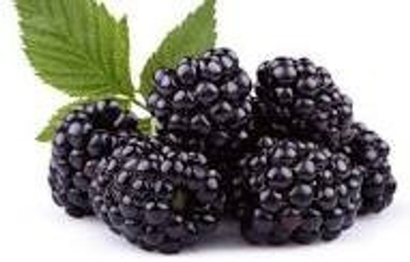 Moras Congeladas I Q F - 1 Kg 0