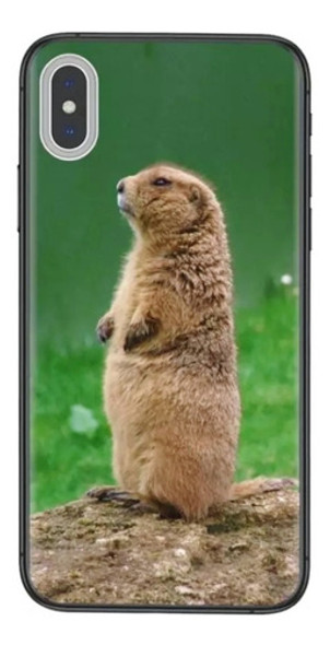 Samsung Galaxy A 02  Funda (san José) 1
