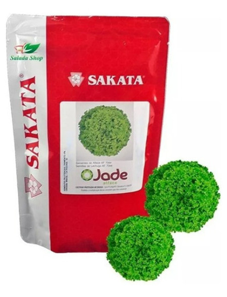 Alface Crespa Jade 7.500 Sementes - Sakata 0 Alface Crespa Jade 7.500 Sementes - Sakata 0