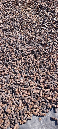 Cultivo De Hongos Pelets 0