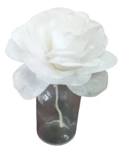Flor Difusora Camelia X 5  + Liq Dif X 1 L + Vial 50cc X 5 1