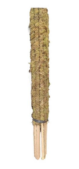 Pack X 2 Tutores Con Musgo Para Plantas Alto 1,20 Mts 0